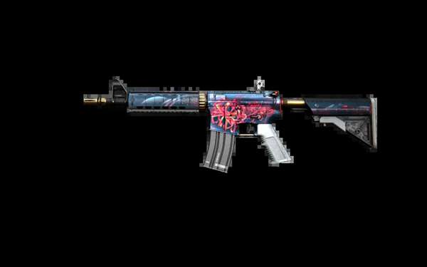 琼托利强调 琼托利强调