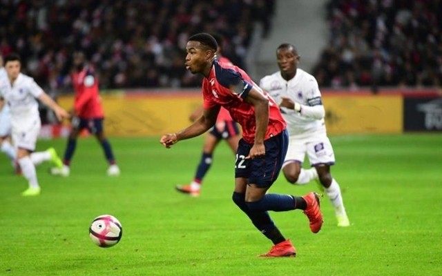 一扫就能获 一扫就能获