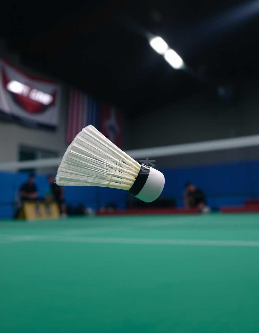 的决赛中 的决赛中