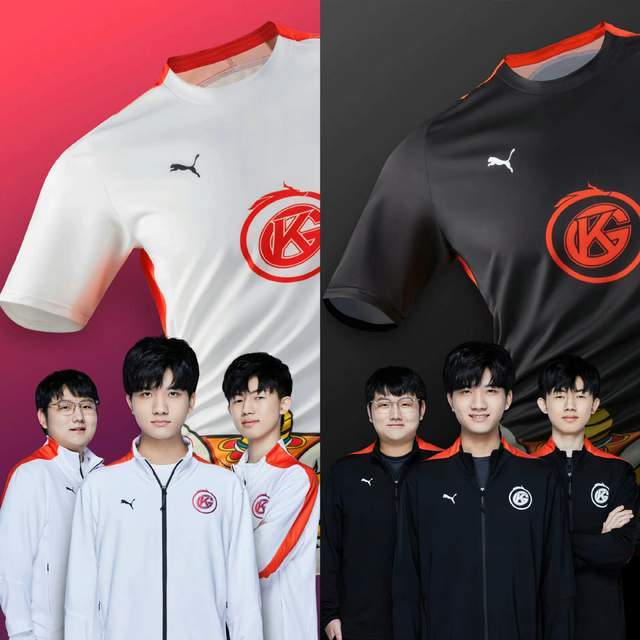 风险管理 风险管理