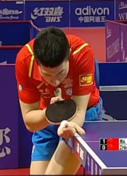 能看出团队 能看出团队