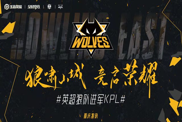 稳定即优势 稳定即优势